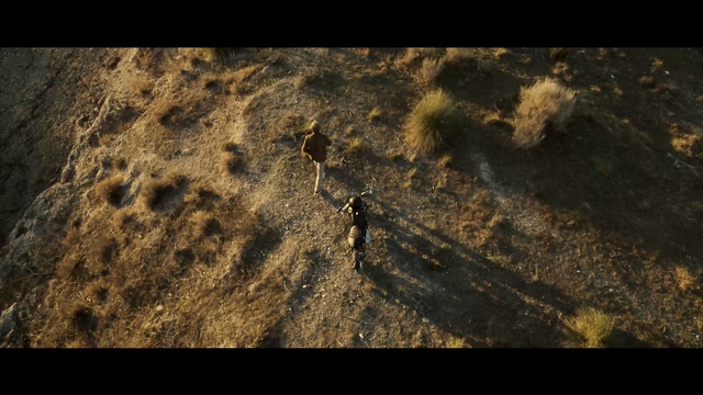 Video Reference: Brown, Soil, Organism, Geology, Rock, Photography, Wildlife, Outdoor, Grass, Photo, Standing, Man, Field, Large, Riding, Bird, Young, Grassy, Air, Tall, White, Animal, Nature, Shadow