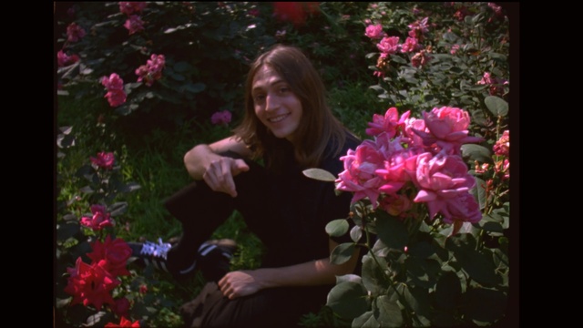 Video Reference: Flower, Flowering plant, Petal, Pink, Nature, Garden roses, Rose, Plant, Rose family, Spring