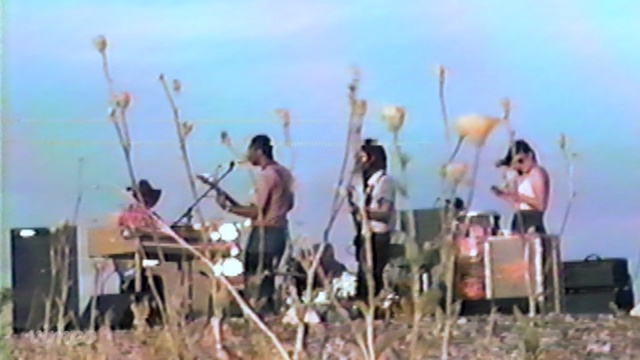 Video Reference: recreation, sky, musical instrument, plant, Person