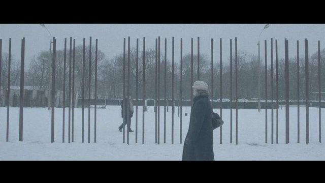 Video Reference: snow, winter, freezing, black and white, sky, winter storm, tree, geological phenomenon, blizzard, monochrome, Person