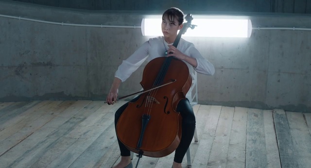 Video Reference: String instrument, Musical instrument, Tololoche, Violin family, String instrument, Cellist, Cello, Bowed string instrument, Violone, Double bass