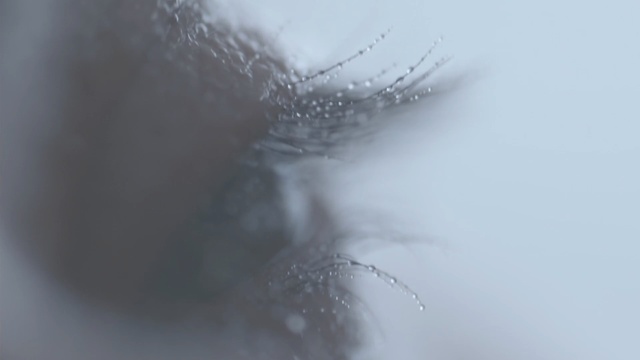 Video Reference: freezing, close up, macro photography, water, sky, atmosphere, winter, frost, black and white, eyelash