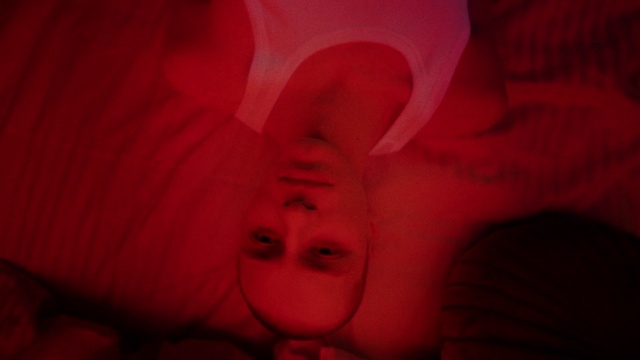 Video Reference: Red, Pink, Lip, Mouth, Close-up, Organism, Flesh, Petal, Photography, Macro photography