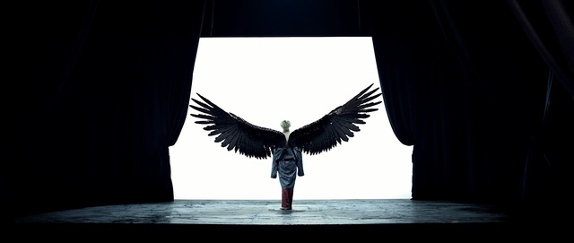 Video Reference: darkness, wing, feather, Person
