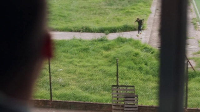 Video Reference: Green, Grass, Lawn, Pasture, Fence, Tree, Grass family, Land lot, Rural area, Grassland