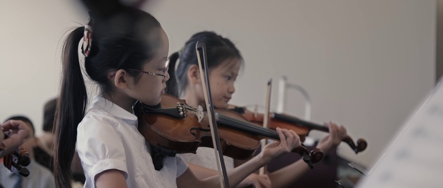 Video Reference: Violin, Violist, Violinist, Viola, Music, Violin family, Fiddle, Musical instrument, Bowed string instrument, String instrument