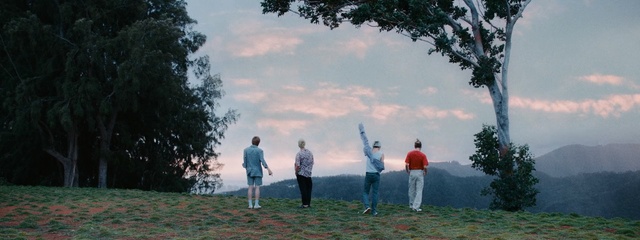 Video Reference: nature, tree, sky, woody plant, grass, morning, leaf, atmosphere, landscape, plant, Person