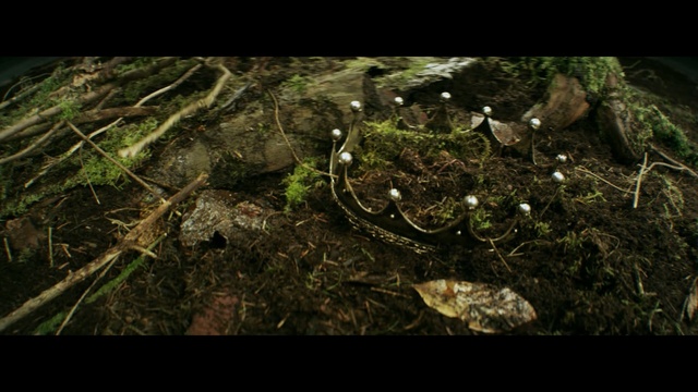Video Reference: ecosystem, forest, organism, grass, jungle, old growth forest, screenshot