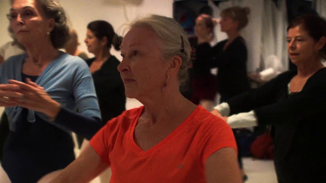 Video Reference: Event, Dance, Performing arts, Audience, Performance, Crowd, Person