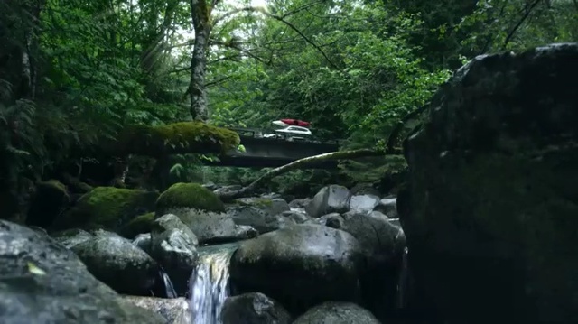 Video Reference: Body of water, Water resources, Nature, Stream, Watercourse, Nature reserve, Natural landscape, Vegetation, Riparian zone, Jungle