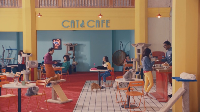 Video Reference: Room, Leisure, Recreation