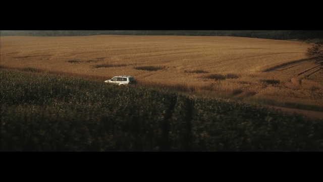 Video Reference: Field, Natural environment, Grassland, Plain, Ecoregion, Sky, Prairie, Brown, Grass, Horizon