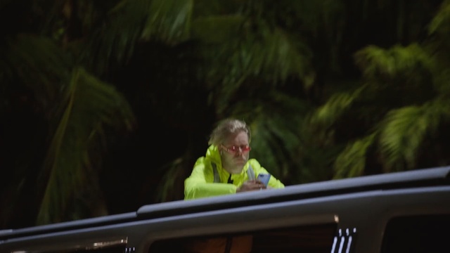 Video Reference: Green, Natural environment, Tree, Fun, Technology, Adaptation, Night, Event, Plant, Forest