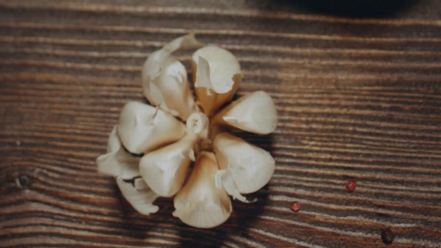 Video Reference: Oyster mushroom, Plant