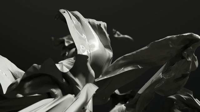 Video Reference: black and white, monochrome photography, photography, monochrome, still life photography, macro photography, computer wallpaper