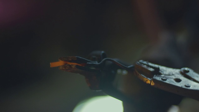 Video Reference: Macro photography, Organism, Photography, Plant