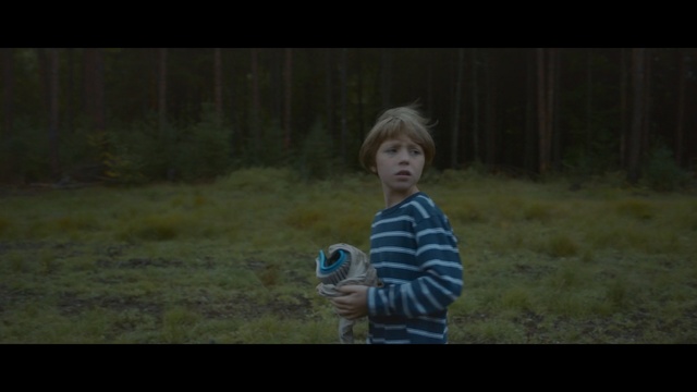 Video Reference: blue, nature, photograph, green, ecosystem, facial expression, grass, person, mammal, vertebrate