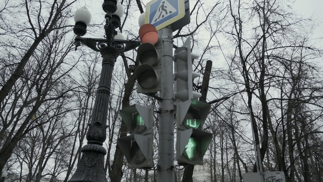 Video Reference: Traffic light, signaling device, Lighting, Tree, Street light, Light fixture, Plant, Pedestrian, Interior design, Pole, Person