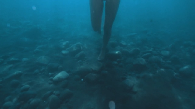 Video Reference: Underwater, Aqua, Water, Turquoise, Marine biology, Organism, Sea, Recreation, Reef, Underwater diving