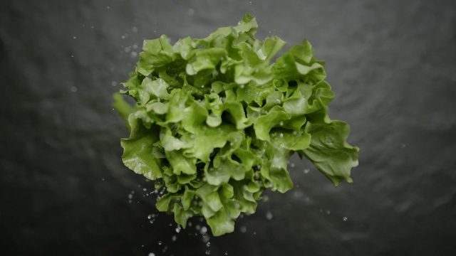 Video Reference: Leaf vegetable, Green, Plant, Leaf, Vegetable, Flower, Food, Lettuce, Herb, Flowering plant