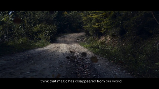 Video Reference: Nature, Black, Natural environment, Road, Biome, Forest, Tree, Darkness, Trail, Geological phenomenon