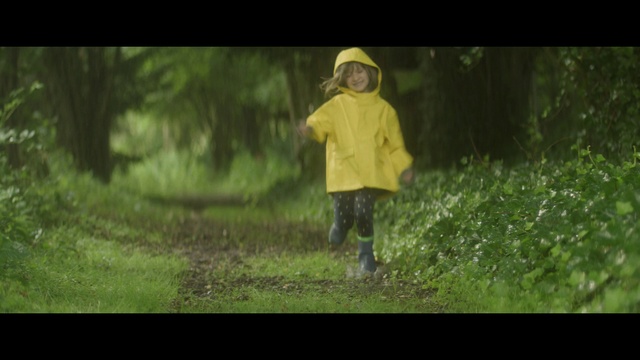 Video Reference: Nature, People in nature, Green, Photograph, Natural environment, Yellow, Grass, Forest, Standing, Woodland