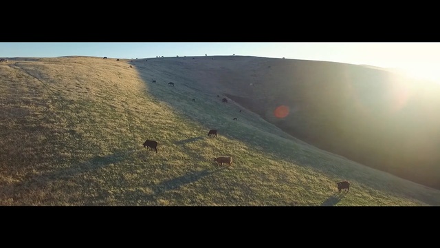 Video Reference: sky, hill, ridge, atmosphere, morning, geological phenomenon, terrain, mountain, sunlight, highland