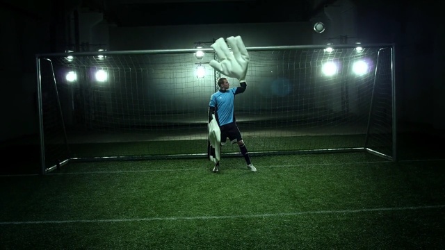 Video Reference: player, green, light, sport venue, darkness, atmosphere, night, football, ball, structure