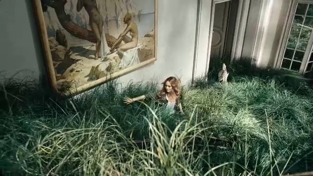 Video Reference: Grass, Grass family, Plant, Photography, Fictional character, Art