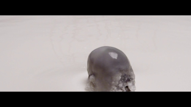 Video Reference: Organism, Skull, Fashion accessory, Metal, Art