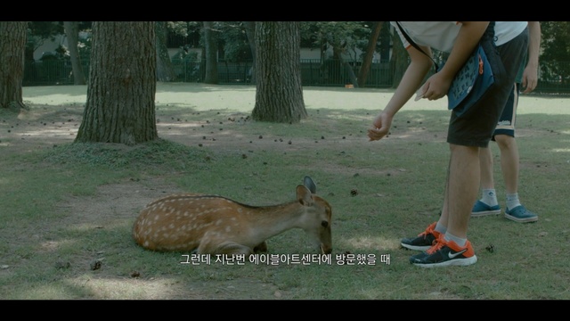 Video Reference: fauna, mammal, wildlife, macropodidae, deer, kangaroo, grass, zoo, organism, marsupial, Person
