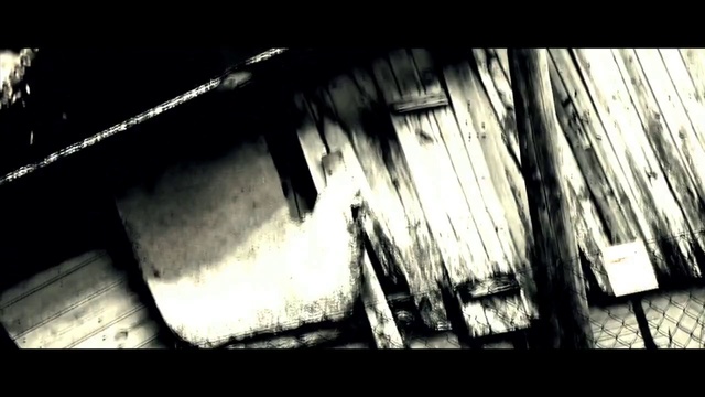 Video Reference: Photograph, Black, Black-and-white, Monochrome photography, Monochrome, Snapshot, Photography, Darkness, Font, Tree