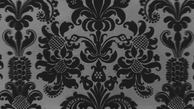 Video Reference: Pattern, Visual arts, Design, Wallpaper, Textile, Pattern, Motif, Floral design, Plant, Black-and-white, Person