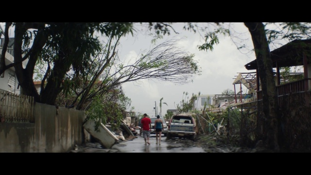 Video Reference: Nature, Photograph, Tree, Mode of transport, Town, Sky, Urban area, Residential area, Neighbourhood, Snapshot