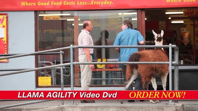 Video Reference: snout, advertising