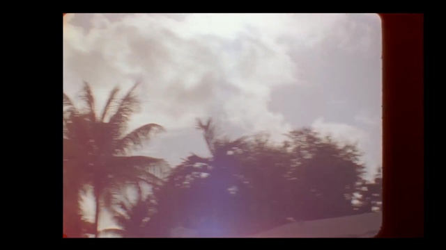 Video Reference: sky, cloud, atmosphere, morning, tree, sunlight, daytime, meteorological phenomenon, dawn, cumulus