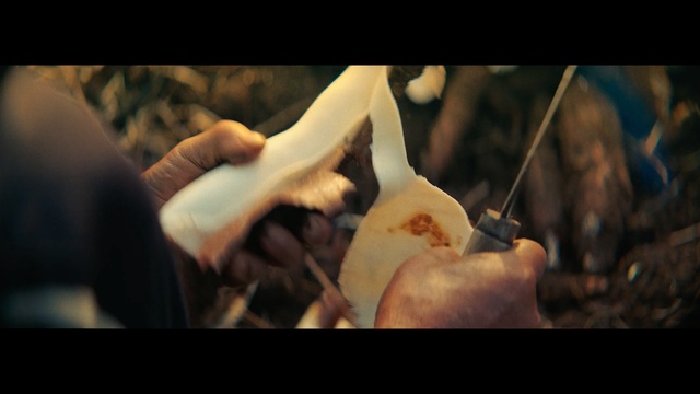 Video Reference: Joint, Hand, Photography, Plant