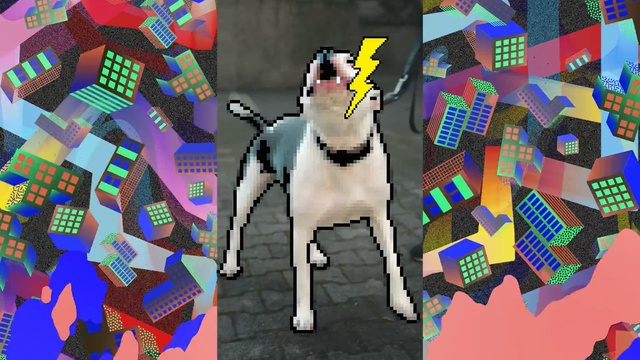 Video Reference: Canidae, Dog, Carnivore, Dog breed, Visual arts, Snout, Art, Non-Sporting Group, Graphic design, Boston terrier, Person