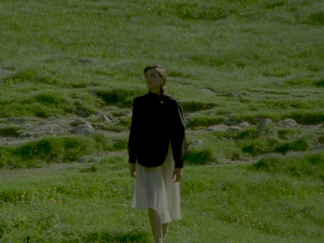 Video Reference: Grassland, Green, Grass, Pasture, Meadow, Grass family, Lawn, Standing, Ecoregion, Plant