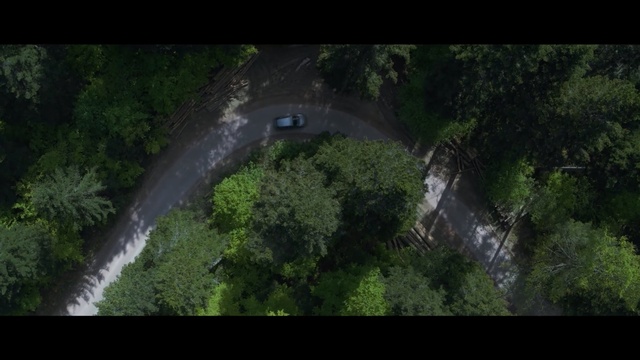 Video Reference: Nature, Aerial photography, Vegetation, Green, Natural environment, Nature reserve, Jungle, Biome, Bird-eye view, Forest