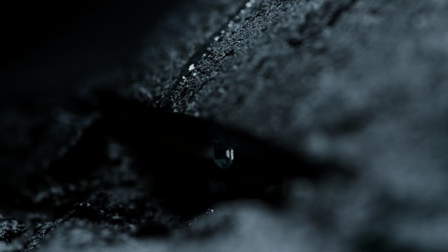 Video Reference: black, water, black and white, atmosphere, macro photography, monochrome photography, darkness, photography, close up, monochrome