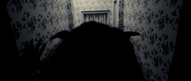 Video Reference: Black, White, Black-and-white, Darkness, Monochrome, Monochrome photography, Snout, Room, Photography, House