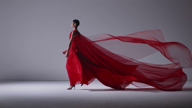 Video Reference: Red, Fashion, Dress, Textile, Performance art, Dancer, Event, Photography, Dance, Performance