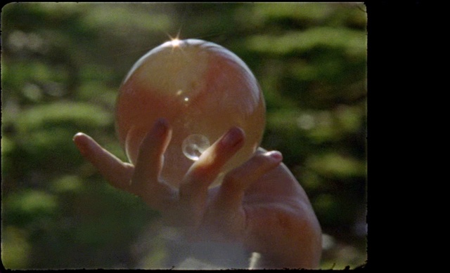 Video Reference: Hand, Water, Organism, Finger, Close-up, Grass, Plant, Photography, Sphere, Macro photography