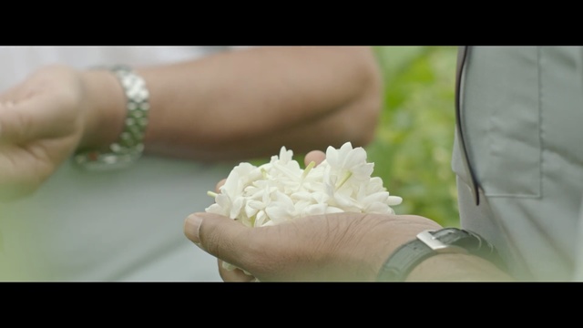 Video Reference: flower, floristry, flower arranging, flower bouquet, hand, petal, bride, wedding ceremony supply, floral design, finger