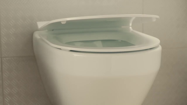 Video Reference: Toilet, Toilet seat, Ceramic, Plumbing fixture, Plastic