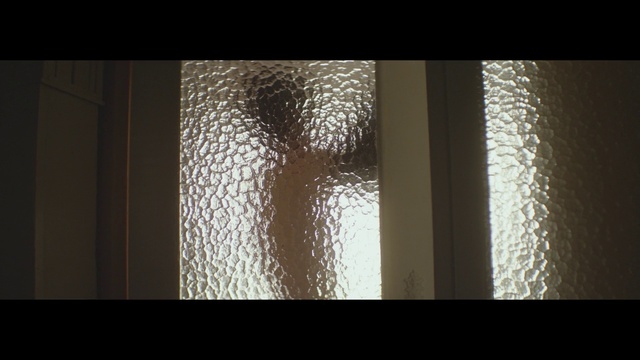 Video Reference: Light, Shadow, Window, Tints and shades, Sunlight, Tree, Interior design, Line, Architecture, Textile