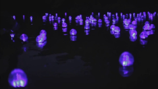 Video Reference: Violet, Blue, Purple, Light, Lighting, Electric blue, Night