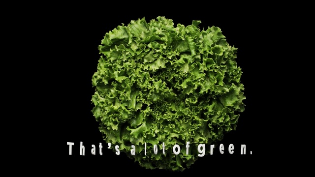 Video Reference: leaf vegetable, produce, vegetable, kale, lettuce, organism, rapini, spring greens, herb, collard greens