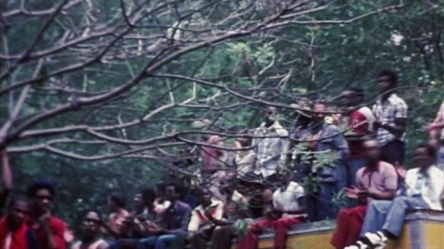 Video Reference: Crowd, People, Nature, Photograph, Tree, Public space, Snapshot, Community, Fun, Pink